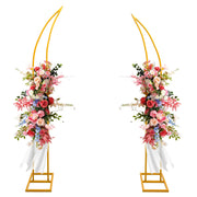 Harfirbe gold arch stand front view showing full curved backdrop and polished finish
