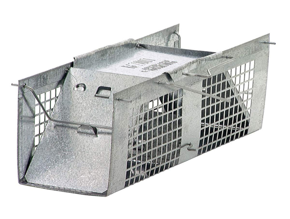 HAVAHART 1020 front view showing cage and dual-door benefit