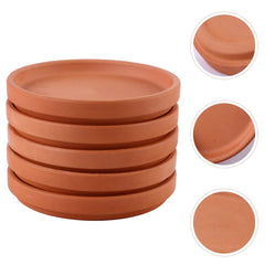 Healeved saucer under a succulent pot catching drainage and protecting surface
