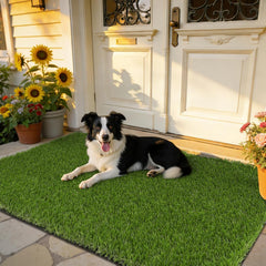 HEBE RUGS front view showing realistic lawn look and instant greenery