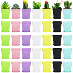 Hedume front pack display showing all 70 colorful square pots, easy organization benefit