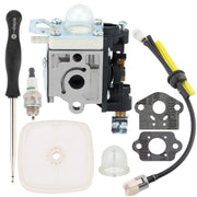 Hipa carburetor front view showing clean fit and reliable replacement