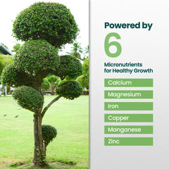 HiThrive being mixed in a watering can for fast nutrient delivery benefit