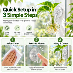 HJUHBDJ roots visible through clear vase to monitor growth benefit