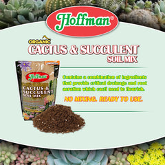 Hoffman potting in use repotting a succulent for healthier roots