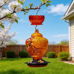 HOLAHOMA moat hung on hummingbird feeder demonstrating ant protection benefit