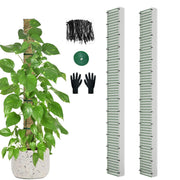 HOLANHING front view of two 60-inch moss poles showing packaging and included accessories for fast setup