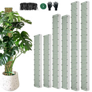 HOLANHING front view assembled poles showing stable plant support