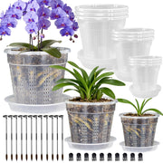 HOLANHING front view of three pot sizes showing clear walls and saucers for visible roots