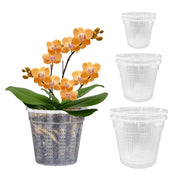 HOLANHING front view of clear orchid pot showing durable rim and transparency for easy monitoring