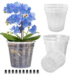 HOLANHING front view of clear 6.1 inch pot showing shape and benefit visibility