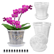 HOLANHING front view clear orchid pot showing shape and benefit of easy root monitoring