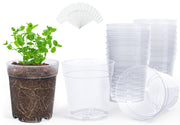 homenote front view of clear nursery pot showing shape and lid benefit easy monitoring
