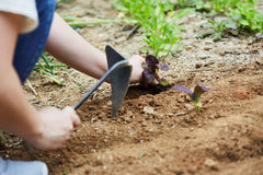 HOMI YOUNGJU in use planting showing precise hole digging for easier seeding