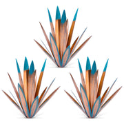 Homight agave front view showing rustic focal point benefit