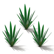 Homight metal agave front view showing rustic silhouette and curb appeal