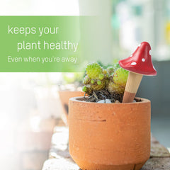 HOMYHEE mushroom inserted in pot illustrating hands-free watering benefit