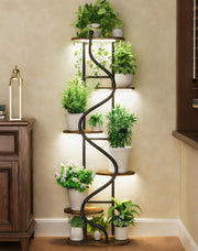 Hongsane front view of full plant stand showing vertical display and even lighting
