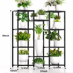 Hongsane tier spacing showing tall plant demonstrating room for large foliage