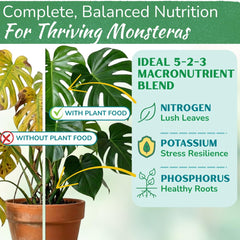 HOUSEPLANT RESOURCE CENTER back label with directions and safe use details