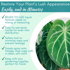 HOUSEPLANT RESOURCE CENTER Monstera before and after cleaning showing brighter foliage