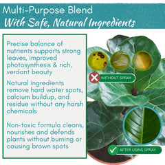 HOUSEPLANT RESOURCE CENTER spray nozzle closeup demonstrating easy mist application