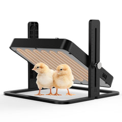 howooiua front view of plate showing compact durable design and stable warmth