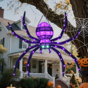 HOYECHI spider front view showing full size and dramatic presence