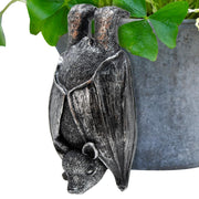 HPMAISON front view bat hanger showing shape and finish for decorative appeal