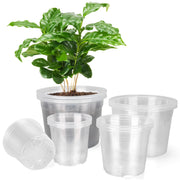 HQAUT clear nursery pots front view showing mixed sizes and organization benefit