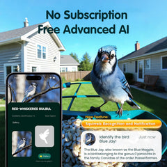 Humbirdy detachable camera removed for easy charging and quick cleaning