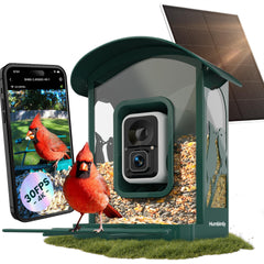Humbirdy front view showing camera and feeder for clear backyard observation