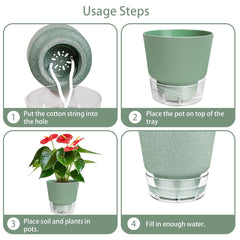 HYNZ planter with succulent in use demonstrating neat, low-maintenance display