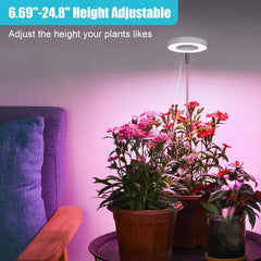 Hywyimlait halo ring height adjustment demonstrating flexible plant coverage benefit