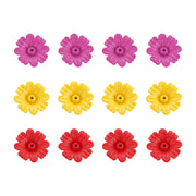 iBorn 12-pack front view showing colorful replacement flowers and benefits