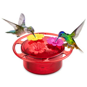 iBorn feeder front view showing compact design and bright red flower attractant