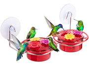 iBorn window feeder front view showing compact design and clear nectar reservoir