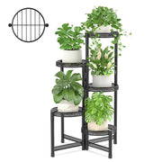 iDavosic.ly front view assembled showing compact, tiered plant display benefit