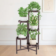 iDavosic.ly front view bronze plant stand showcasing compact vertical display