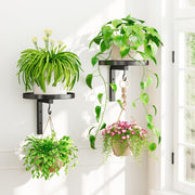 iDavosic.ly front view of both mounted holders showing neat vertical display and space saving