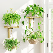 iDavosic.ly gold hanger front view showing sleek design and sturdy support