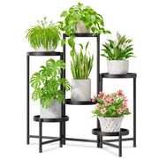 iDavosic.ly front view showing six tiers and black finish increases vertical display