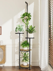 iDavosic.ly front view showing 4-tier display and space-saving benefits