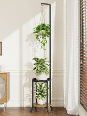 iDavosic.ly full view of 60-inch plant stand showing vertical display benefit