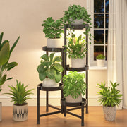 iDavosic.ly front view showing five tiers and neat vertical plant display benefit organization