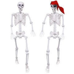 IDMOP two skeletons front view showing full 5.4ft height and display-ready look