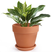 INGOFIN terracotta pot front view showing classic shape and natural finish for decor
