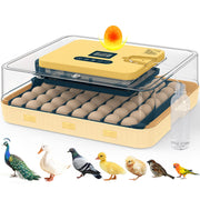 innhom front view showing incubator and color for clear identification and compact footprint
