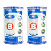 Intex Type B front view showing two cartridges and packaging, fast replacement benefit