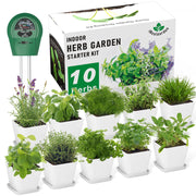 iRealgarden front box and contents showing complete kit for instant gifting